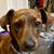 Lynn Lemont's profile image