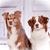 Nancy Martin's profile image