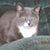 Mary B Steger-Nelson's profile image