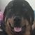 Joe Krugler's profile image