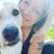 Samantha Lodgek's profile image
