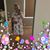 Linda Ann's profile image