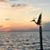 Lisa Cotter Harmon's profile image
