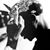 Matthew Curtis's profile image