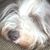 Suzanne Cohen's profile image