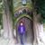 Anne Newell's profile image