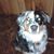 Barbara Klemann's profile image
