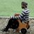 Faeseone Mogajane's profile image