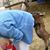 Judy Fink's profile image