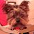R.J. Herried's profile image