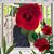 Jaquina Rojas's profile image