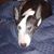 Julie Thomas's profile image