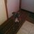 Paul Chaves's profile image