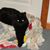 Becky Jamena's profile image