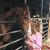 Maribeth McDaniel Thomas's profile image