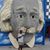 Rose Jackson's profile image