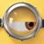 Mahmudul Alam's profile image