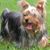 Barbara Hollaway Cavender's profile image