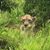 Amy Dorsch's profile image
