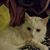 Autumn Barger-Ralston's profile image