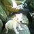 Selket Myles's profile image