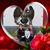 Tabitha Mollohan's profile image