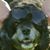Salvador Ruiz's profile image