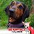 Janis Comstock-Jones's profile image