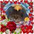 Debbie Delvaux's profile image