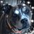 Susan Jones's profile image