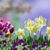 Kathy Overstreet's profile image