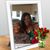 Gloria Ware Stewart's profile image