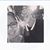 Candice Guerrero's profile image