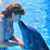 Denise Rednour's profile image