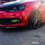 Willem Botha's profile image