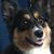 Val O'Shea's profile image