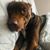 Michelle Mattson's profile image