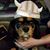 Melissa Marie Ploetz's profile image