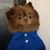 Bill Bauer's profile image