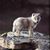 Sandi Dean's profile image