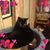 Joanna Kulesza's profile image