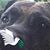 StevenBecky Frix's profile image