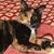 Tricia Felty Smith's profile image