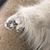 Maria Serna's profile image