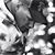 Calvin Wield's profile image