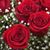Sary Acevedo's profile image
