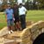 Tony Wallace's profile image