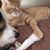 Tanya Larry Reeder's profile image