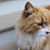 Jill King Shillman's profile image