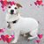 Renette Kumm's profile image